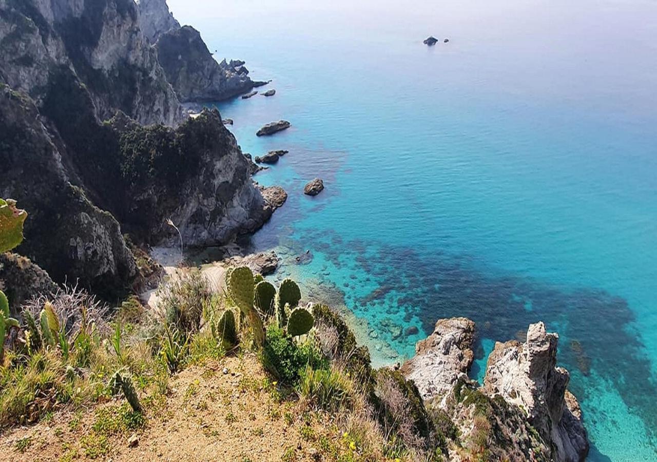 Ninfa Sul Mare Apartments 50 M E T R I Dal Mare Best Breakfast And Free Parking Capo Vaticano Eksteriør billede