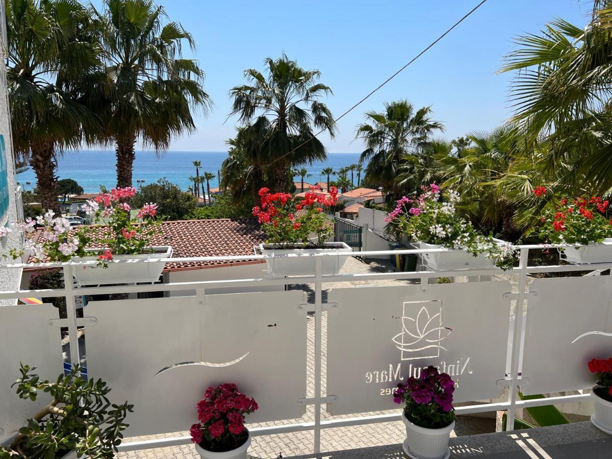 Ninfa Sul Mare Apartments 50 M E T R I Dal Mare Best Breakfast And Free Parking Capo Vaticano Eksteriør billede